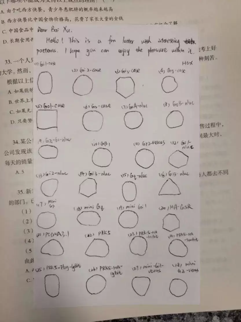 中国博士生在美被指走私生物材料 当局另加控3学者