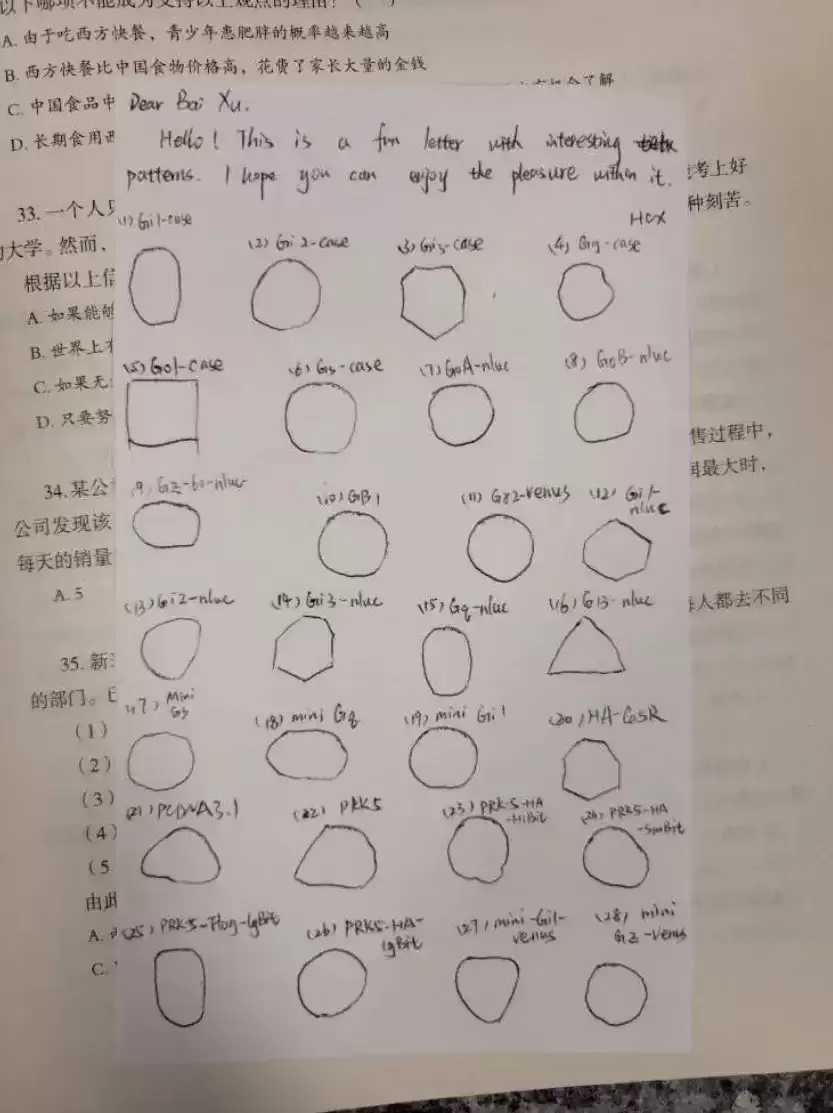 中国博士生在美被指走私生物材料 当局另加控3学者