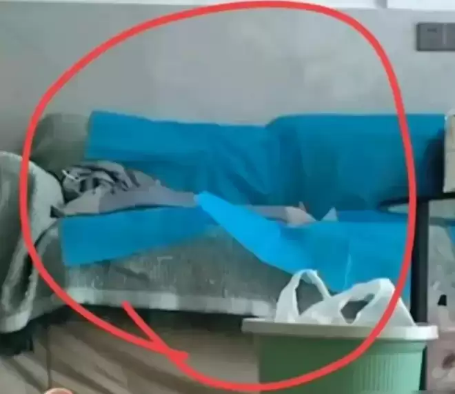 湖南副院长和女医生的不雅视频同款睡裙 已卖出3.3万件！