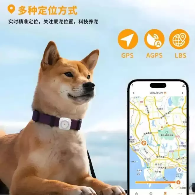 AI项圈，正靠解决现代人的养宠焦虑年入上亿