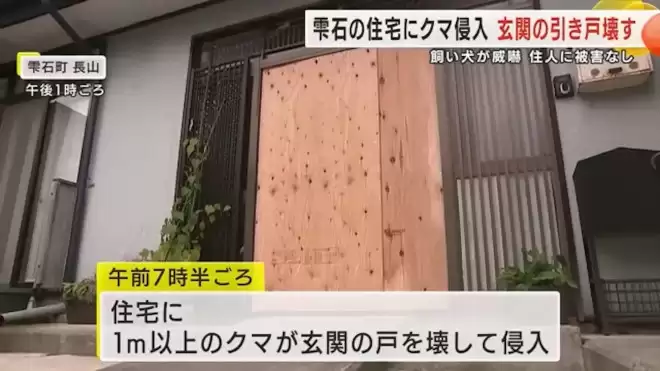 日本本州最严重熊害 半个月夺4命胃内留大量人肉