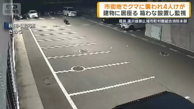日本本州最严重熊害 半个月夺4命胃内留大量人肉