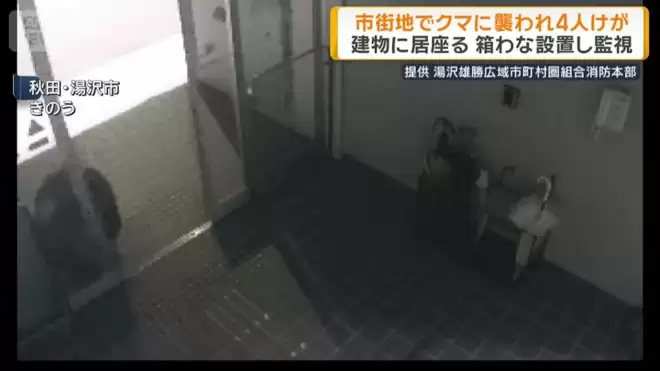 日本本州最严重熊害 半个月夺4命胃内留大量人肉