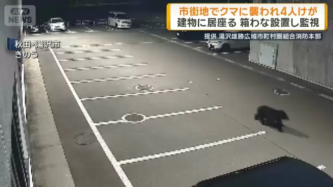 日本本州最严重熊害 半个月夺4命胃内留大量人肉