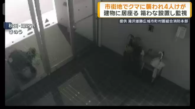 日本本州最严重熊害 半个月夺4命胃内留大量人肉