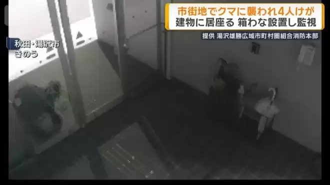 日本本州最严重熊害 半个月夺4命胃内留大量人肉