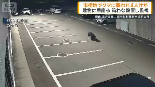 日本本州最严重熊害 半个月夺4命胃内留大量人肉