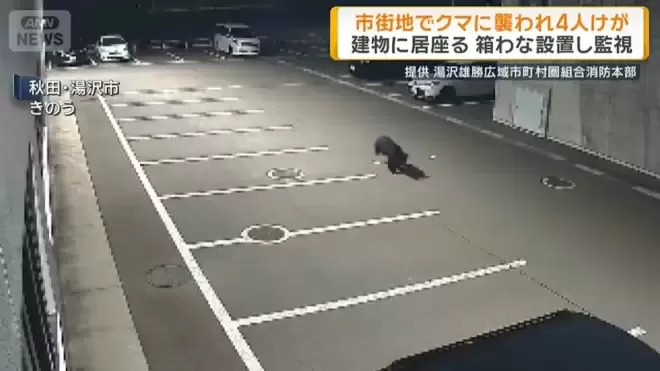 日本本州最严重熊害 半个月夺4命胃内留大量人肉