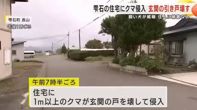 日本本州最严重熊害 半个月夺4命胃内留大量人肉