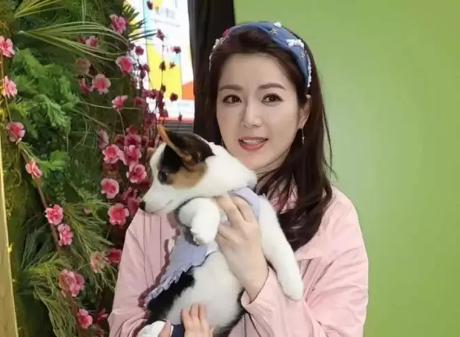 香港知名女星正式离婚，恢复单身即有追求者