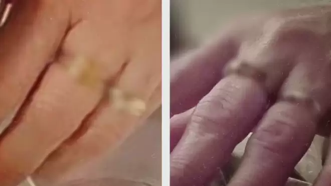 安省男子禽兽行径: 下药性虐妻子! 卧底扒出第二名变态嫌犯!