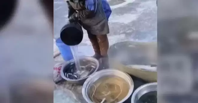零下20度！东北早市奇观 替鱼洗“热水澡”
