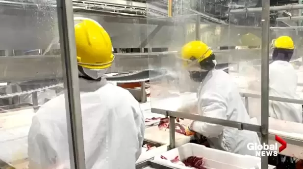 自2015年起你如果购买过生牛肉，就有资格参加集体诉讼索赔