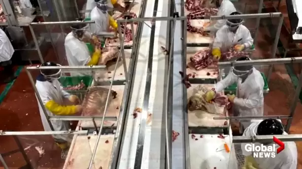 自2015年起你如果购买过生牛肉，就有资格参加集体诉讼索赔