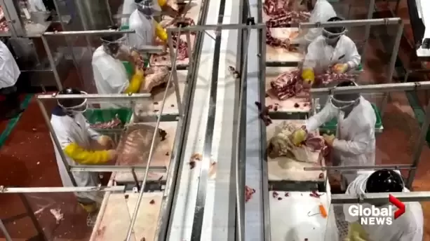 自2015年起你如果购买过生牛肉，就有资格参加集体诉讼索赔