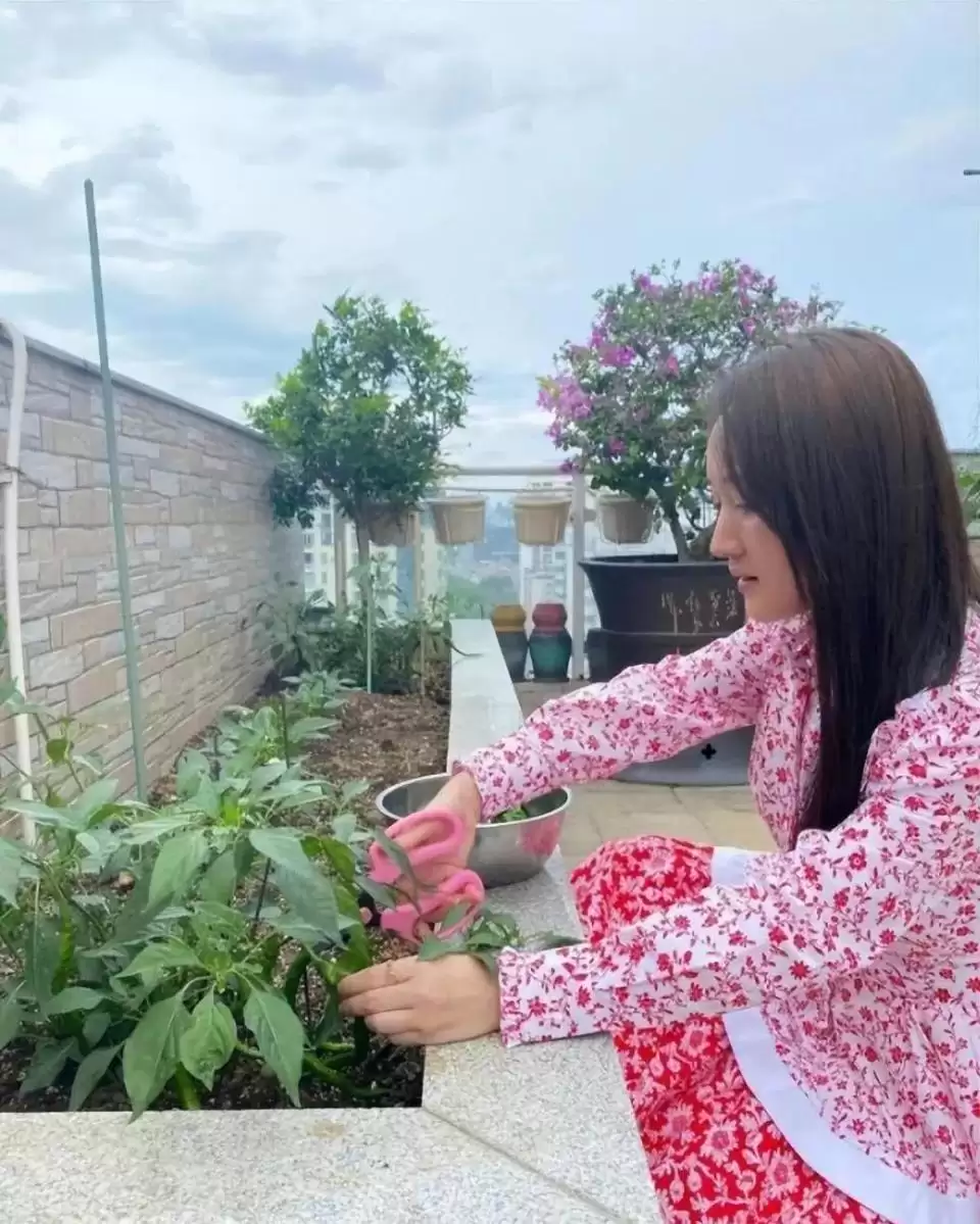 杨钰莹近况曝光：每天打理菜园子，生活平淡