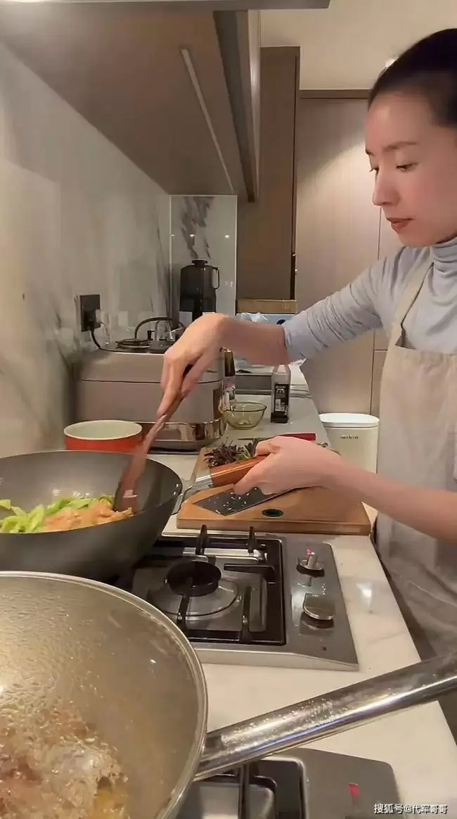 45岁董洁北京豪宅生活曝光，不请保姆不通暖气