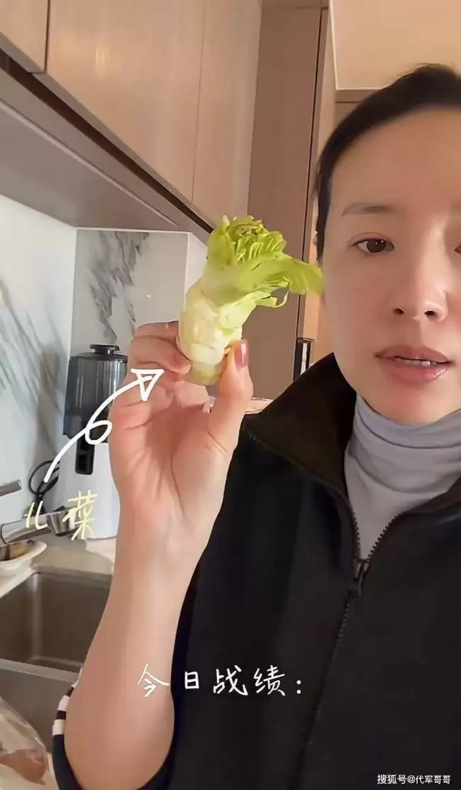 45岁董洁北京豪宅生活曝光，不请保姆不通暖气