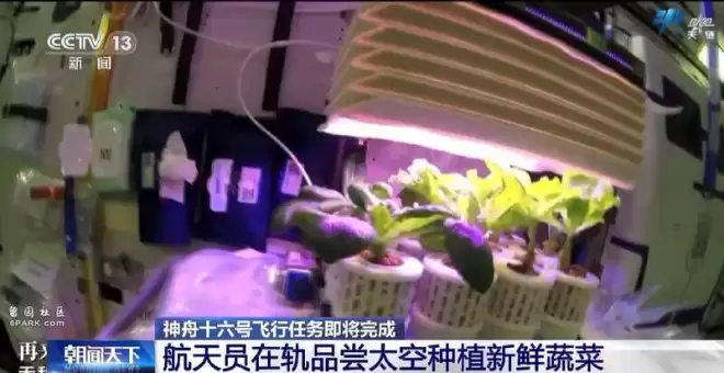 太空烤肉 大国阳谋:中国空间站上演的顶级凡尔赛