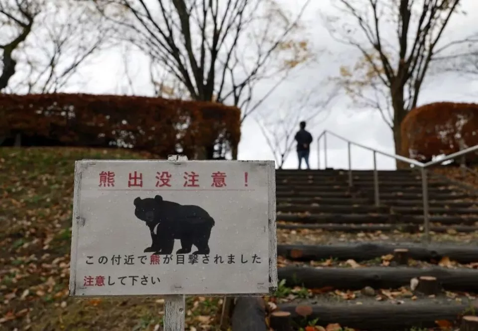 一个中国90后，在闹熊灾的日本当全职猎人