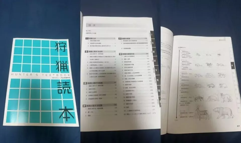 一个中国90后，在闹熊灾的日本当全职猎人