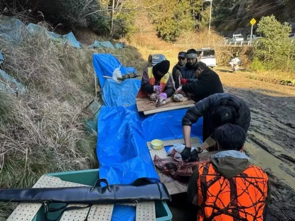 一个中国90后，在闹熊灾的日本当全职猎人