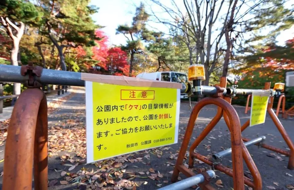 一个中国90后，在闹熊灾的日本当全职猎人