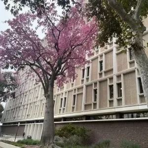 持武士刀杀妻 华女刑期宣判后在狱中自杀 留有遗书