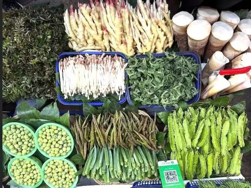 她明明是英国人 却专门跟老外科普中餐