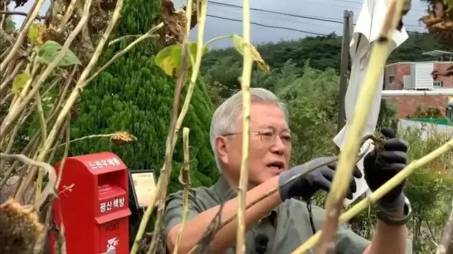 72岁前总统“再就业”，新身份让人意外...