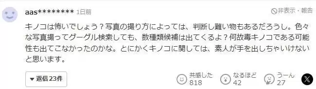 大爷采蘑菇 拍照后AI说无毒 可吃!半小时后惨了…