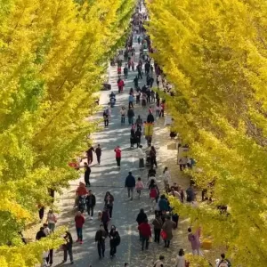台湾人妻揭陆居3年最难适应的事 网认同：风景美又好玩但这2点受不了