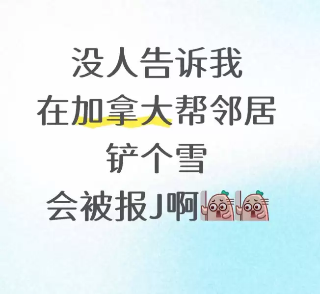 帮邻居铲雪差点倾家荡产！没人告诉我帮邻居铲雪会被报警啊