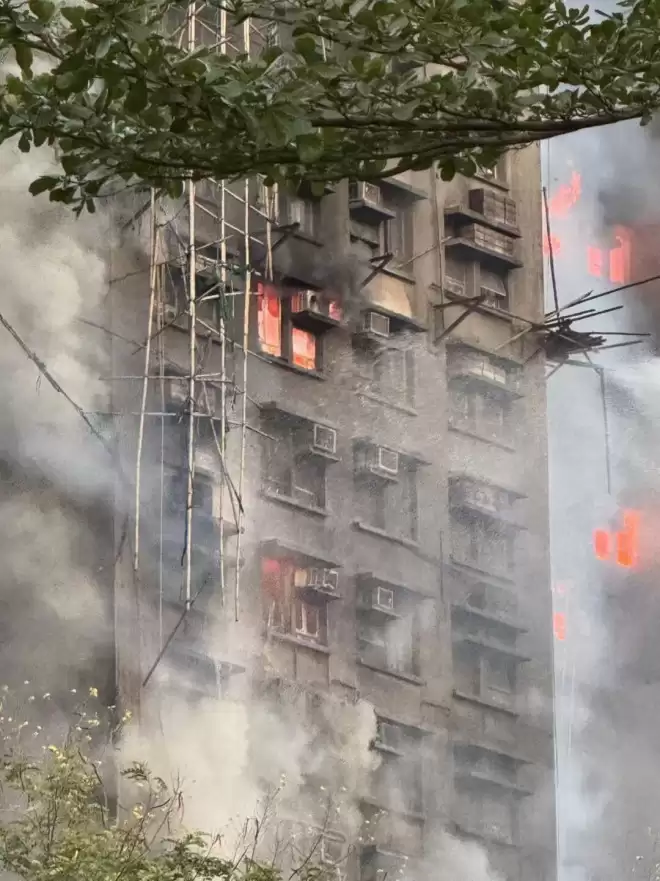 香港多所学校明日停课！大火已致14人遇难，居民痛心目睹