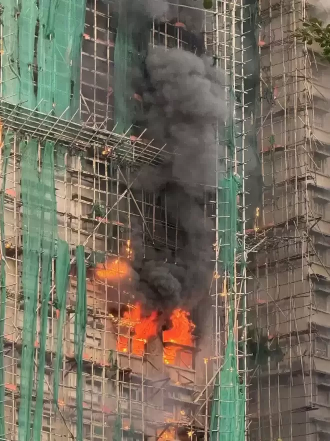 香港多所学校明日停课！大火已致14人遇难，居民痛心目睹