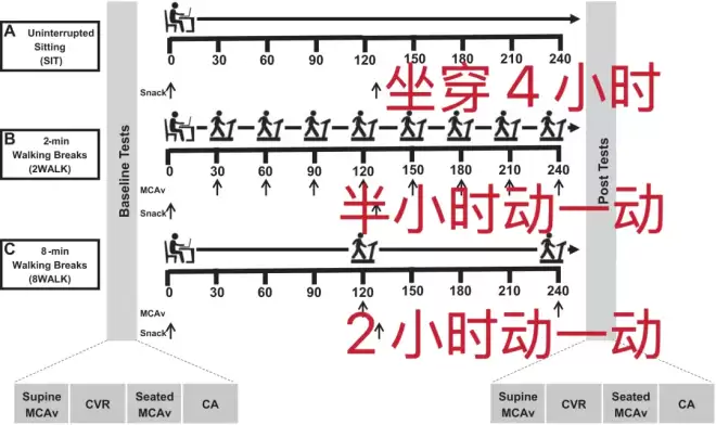最最最轻松的"运动"，只需 2 分钟，对血糖、大脑都好