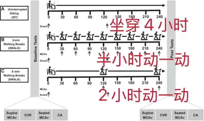 最最最轻松的"运动"，只需 2 分钟，对血糖、大脑都好