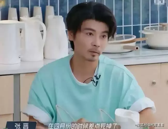 落地的凤凰不如鸡，52岁的蔡少芬真叫王晶说对了