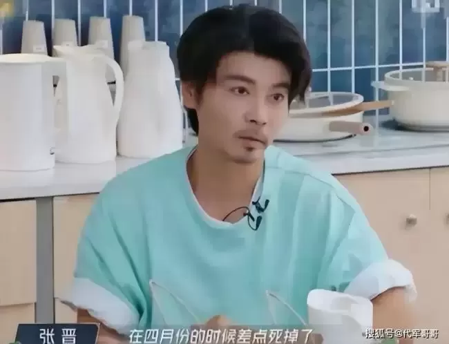 落地的凤凰不如鸡，52岁的蔡少芬真叫王晶说对了
