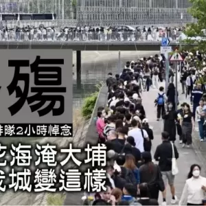 2公里人龙排队2小时悼念  泪雨花海淹大埔  痛问我城变这样