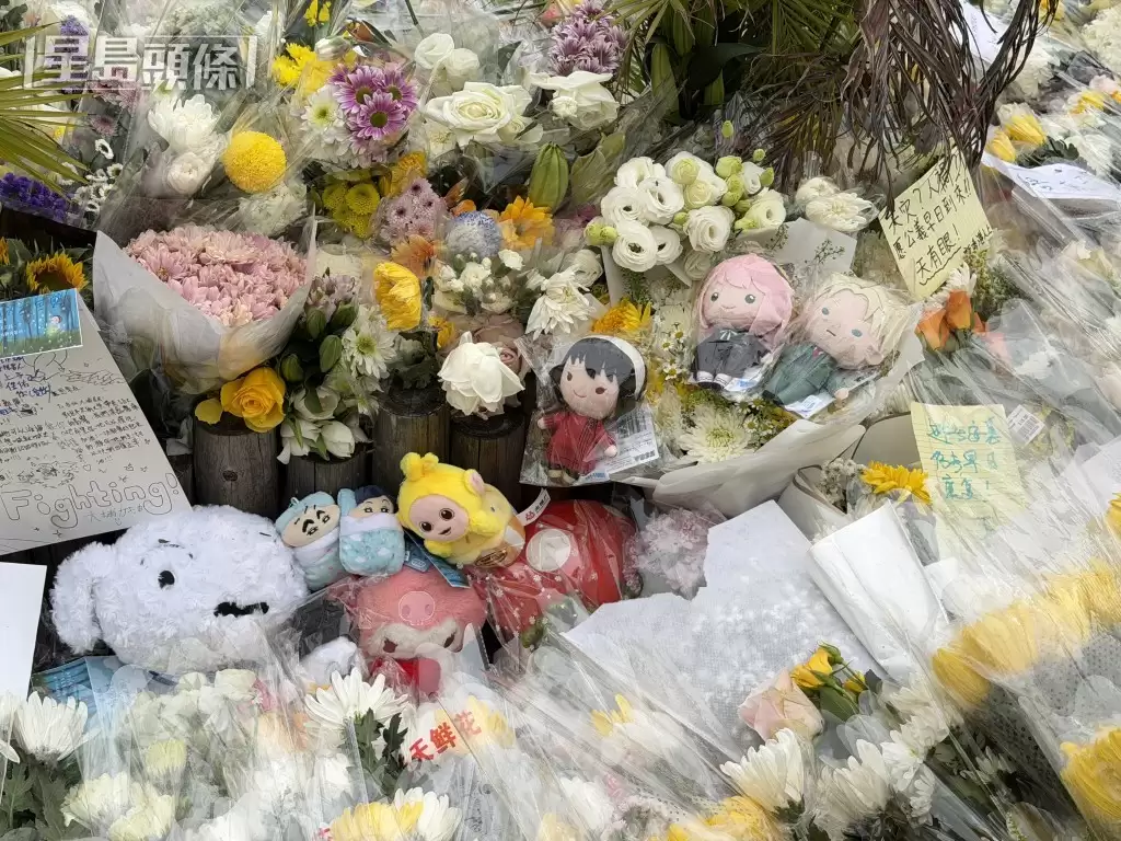 港殇︱2公里人龙排队2小时悼念  泪雨花海淹大埔  痛问我城变这样