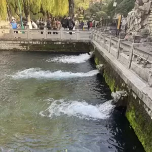 50岁中女们的聚会：留学的孩子给中产夫妻的婚姻续了命