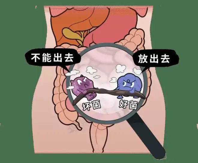 上厕所时 大便“前硬后软”？当心是身体在报警