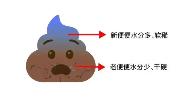 上厕所时 大便“前硬后软”？当心是身体在报警
