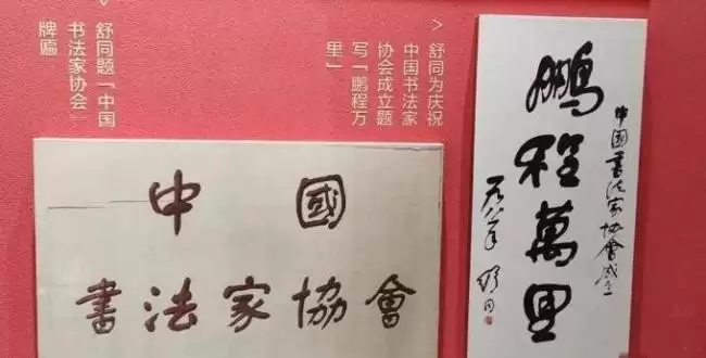 杨振宁逝世后翁帆首度参加活动 翁母陪同心事重重
