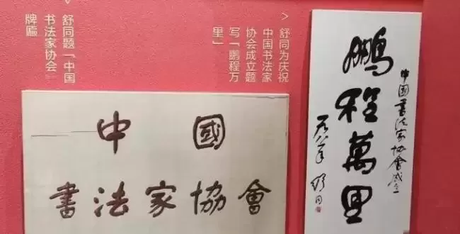 杨振宁逝世后翁帆首度参加活动 翁母陪同心事重重