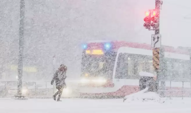 50cm暴雪! 安省狂发38条天气警报! 大多伦多70km狂风+体感-19°C