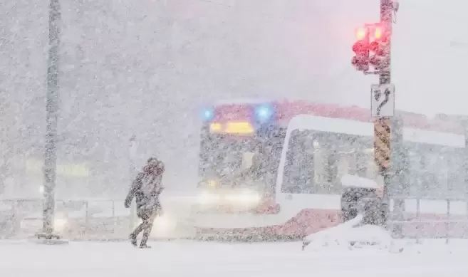 50cm暴雪! 安省狂发38条天气警报! 大多伦多70km狂风+体感-19°C