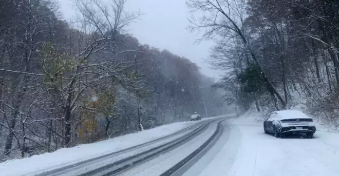 50cm暴雪! 安省狂发38条天气警报! 大多伦多70km狂风+体感-19°C