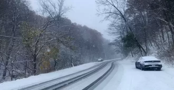 50cm暴雪! 安省狂发38条天气警报! 大多伦多70km狂风+体感-19°C